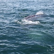 IMG 0001 2 (71)